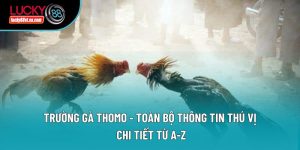 Trường Gà Thomo - Toàn Bộ Thông Tin Thú Vị, Chi Tiết Từ A-Z